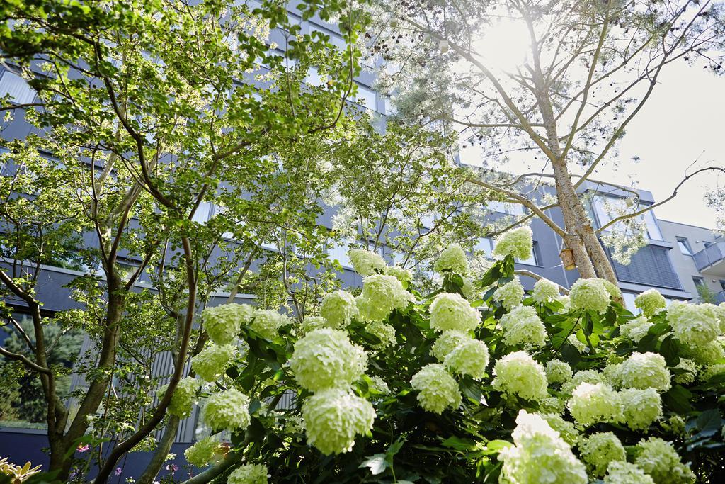 Savoy Hotel โคโลญ ภายนอก รูปภาพ